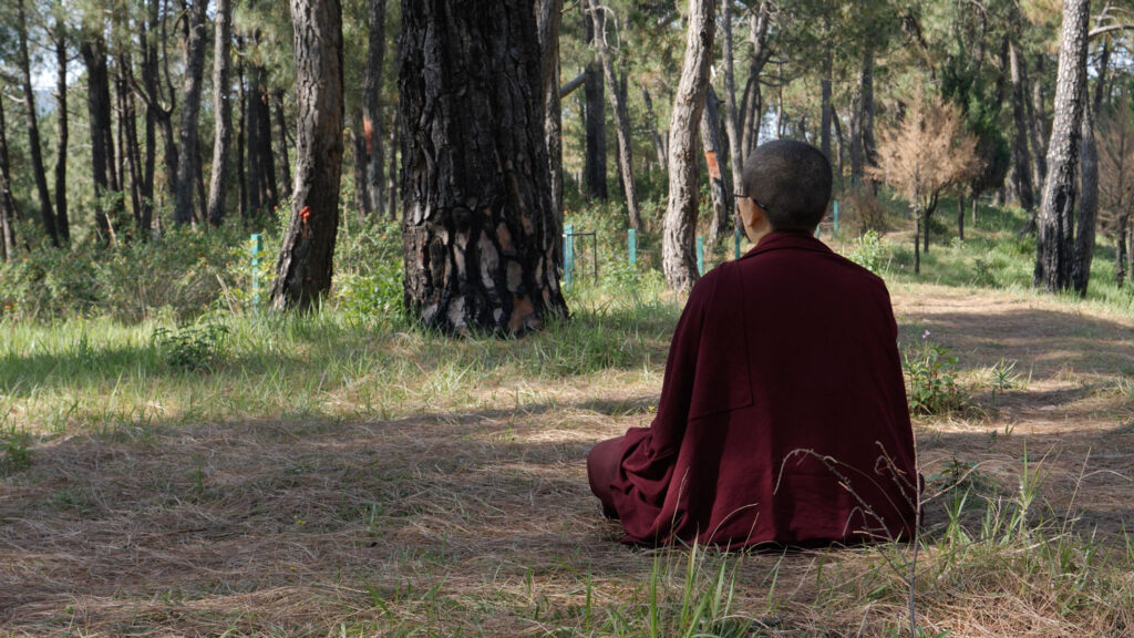 Nun Yeshi sits facing a tree in a forest.
