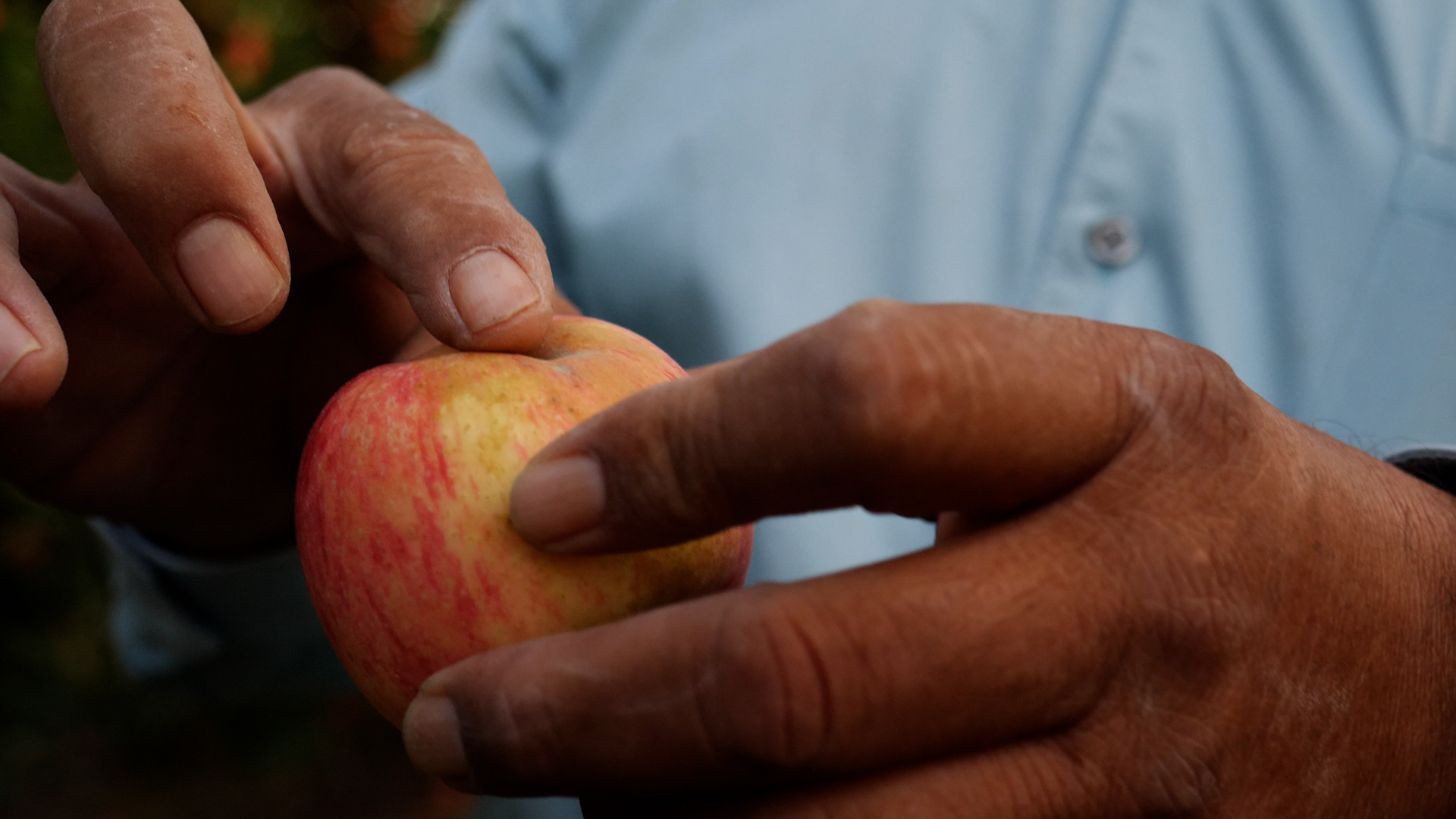A close up of hands holding an apple
