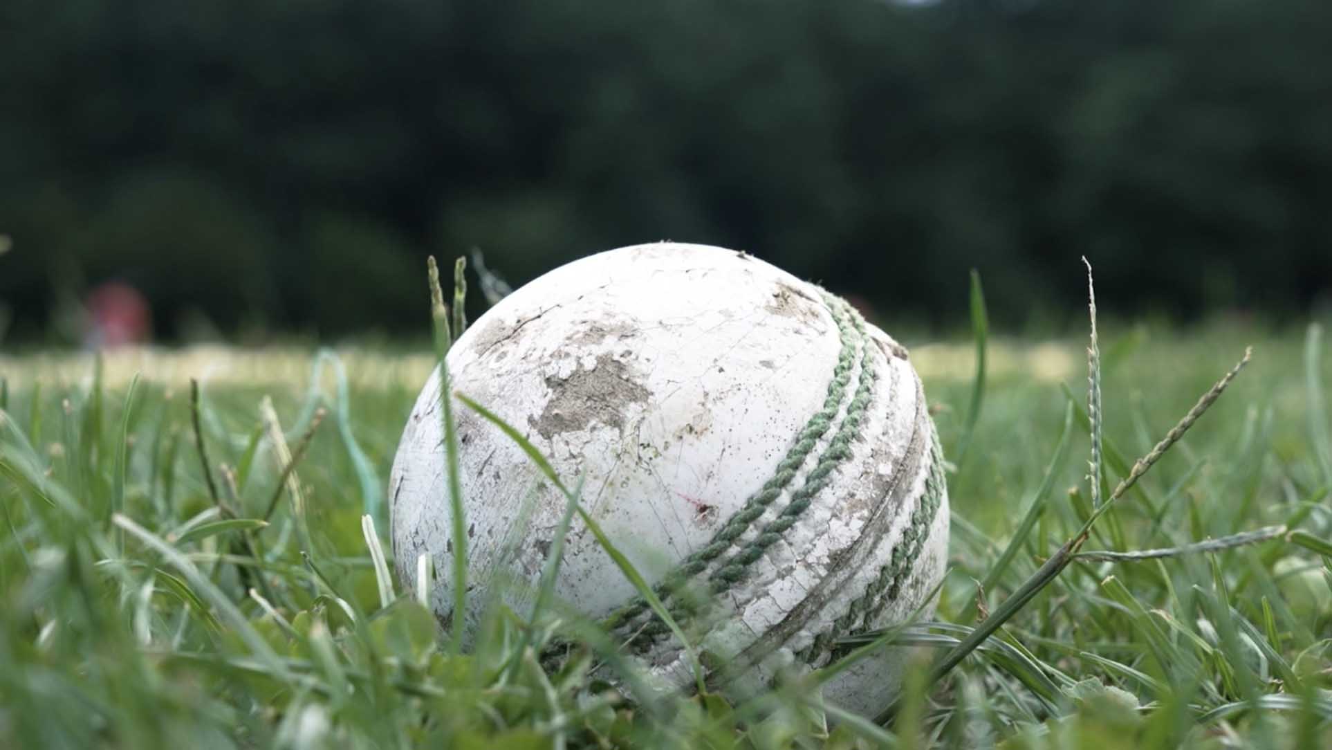 cricket ball in the grass